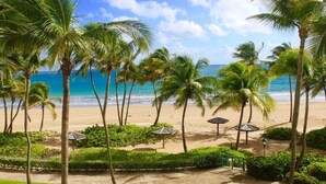 A beach with palm trees and a clear sky. - Resort Condo at Wyndham Grand Rio Mar (Río Grande)