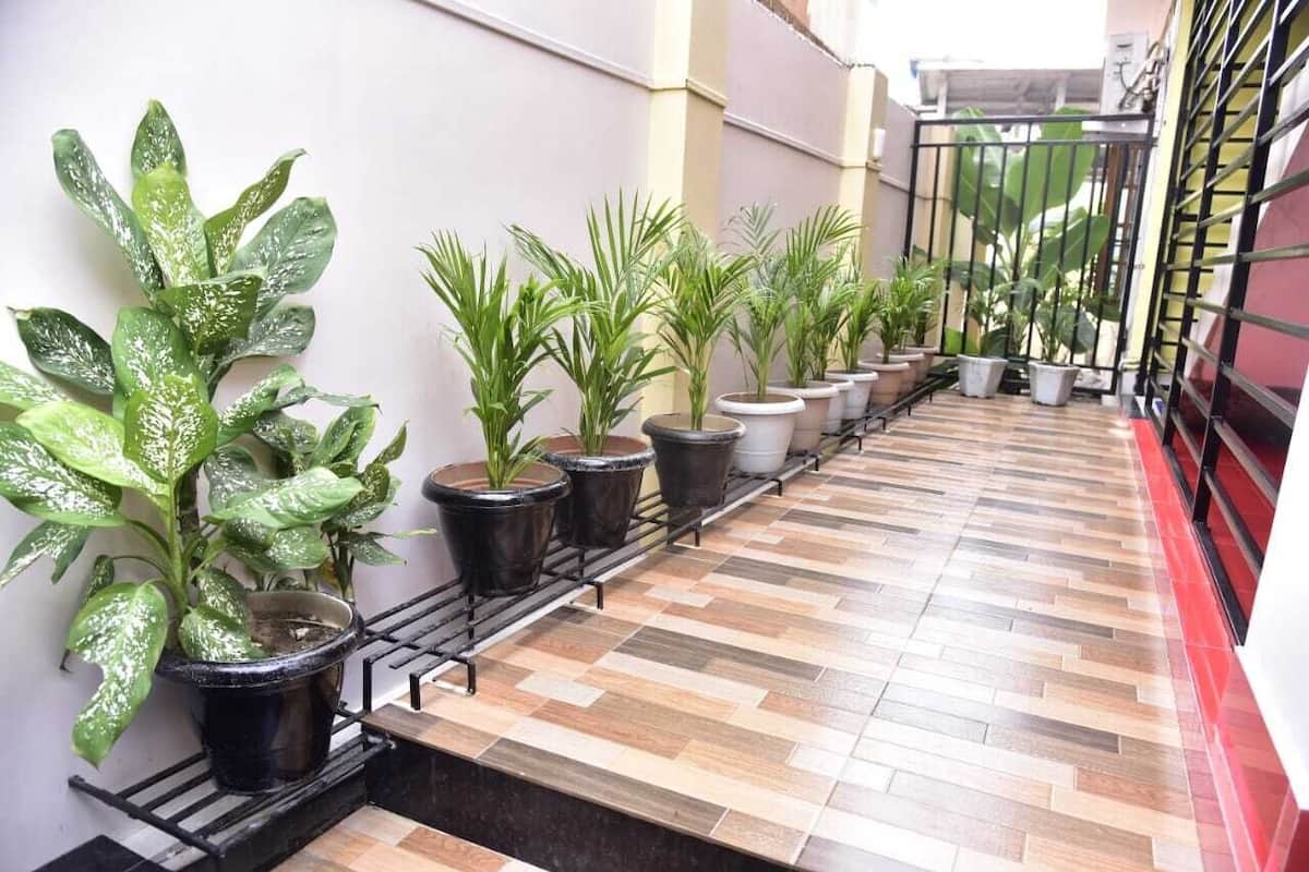 Passadís amb plantes en testos sobre un paviment de rajoles, que condueix a una porta.