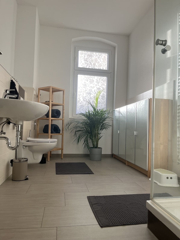 Shower, hair dryer, towels, toilet paper