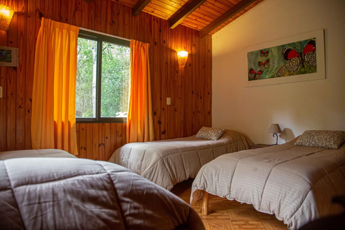 Classic Cabin | 2 bedrooms