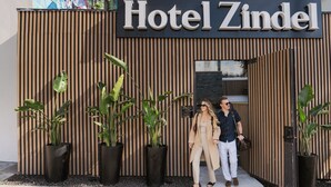 Hotel Zindel's entrance with vertical wooden panels and large potted plants.