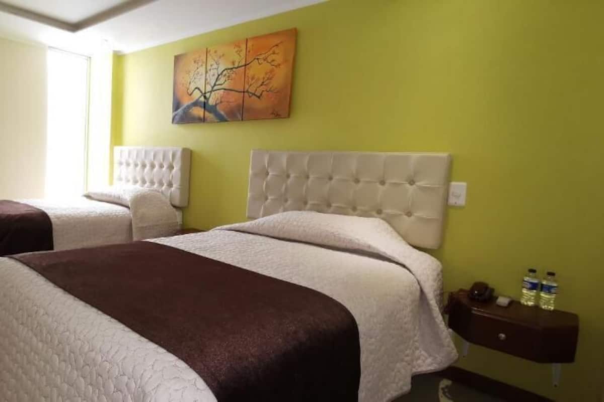 Habitación Deluxe con 1 cama matrimonial o 2 individuales | 1 habitación y wifi gratis