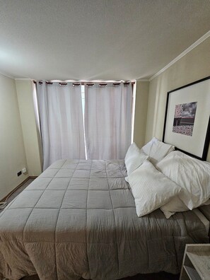 Blackout drapes, iron/ironing board, free WiFi - Dardigniac (Santiago)
