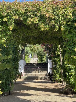 Exterior - Santerra, Guadalupe Valley (Valle de Guadalupe)