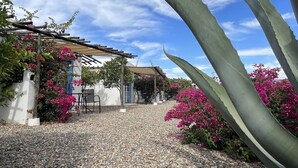 A garden with a pergola, a white building, and pink flowers. - Santerra, Guadalupe Valley (Valle de Guadalupe)