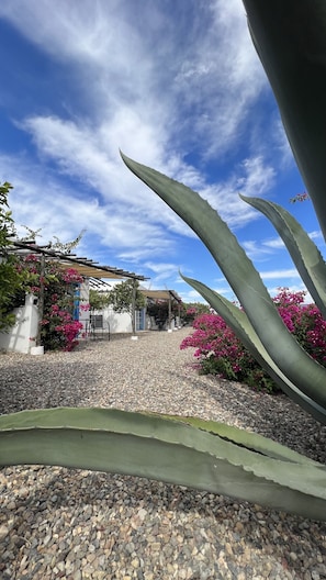 Exterior - Santerra, Guadalupe Valley (Valle de Guadalupe)