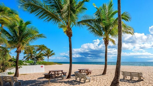 Una playa con palmeras, mesas de picnic y bancos.