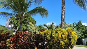 A landscaped garden with palm trees and various shrubs.