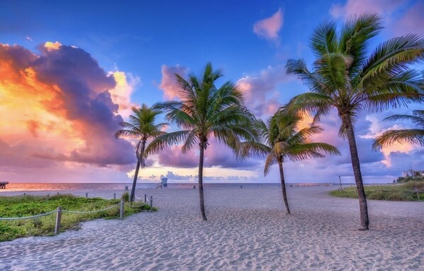 Sun-loungers, beach towels - Sunset Paradise Villa (Pompano Beach)