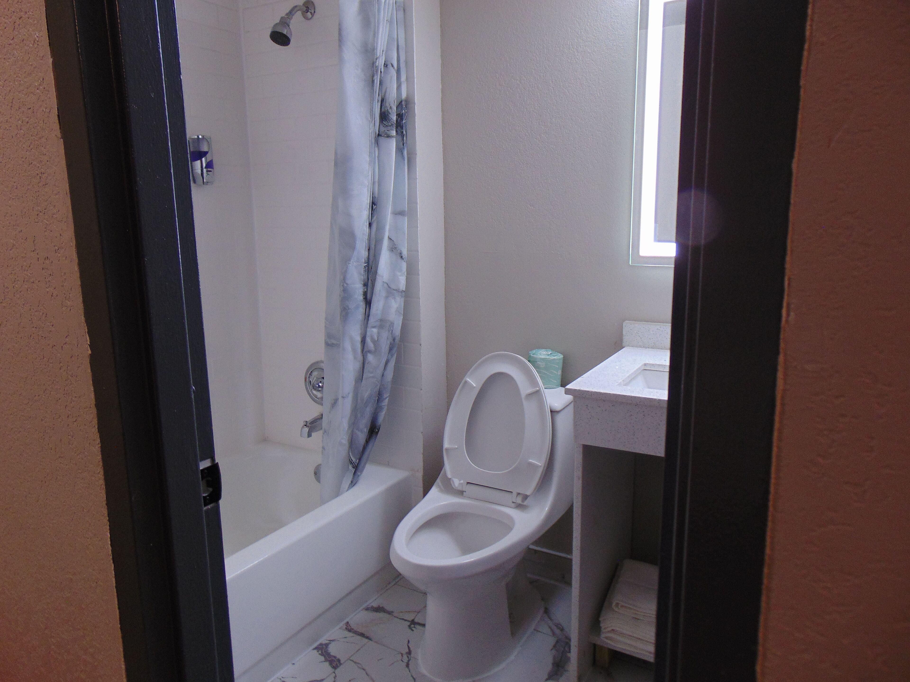 Une salle de bain avec douche, toilettes et lavabo.