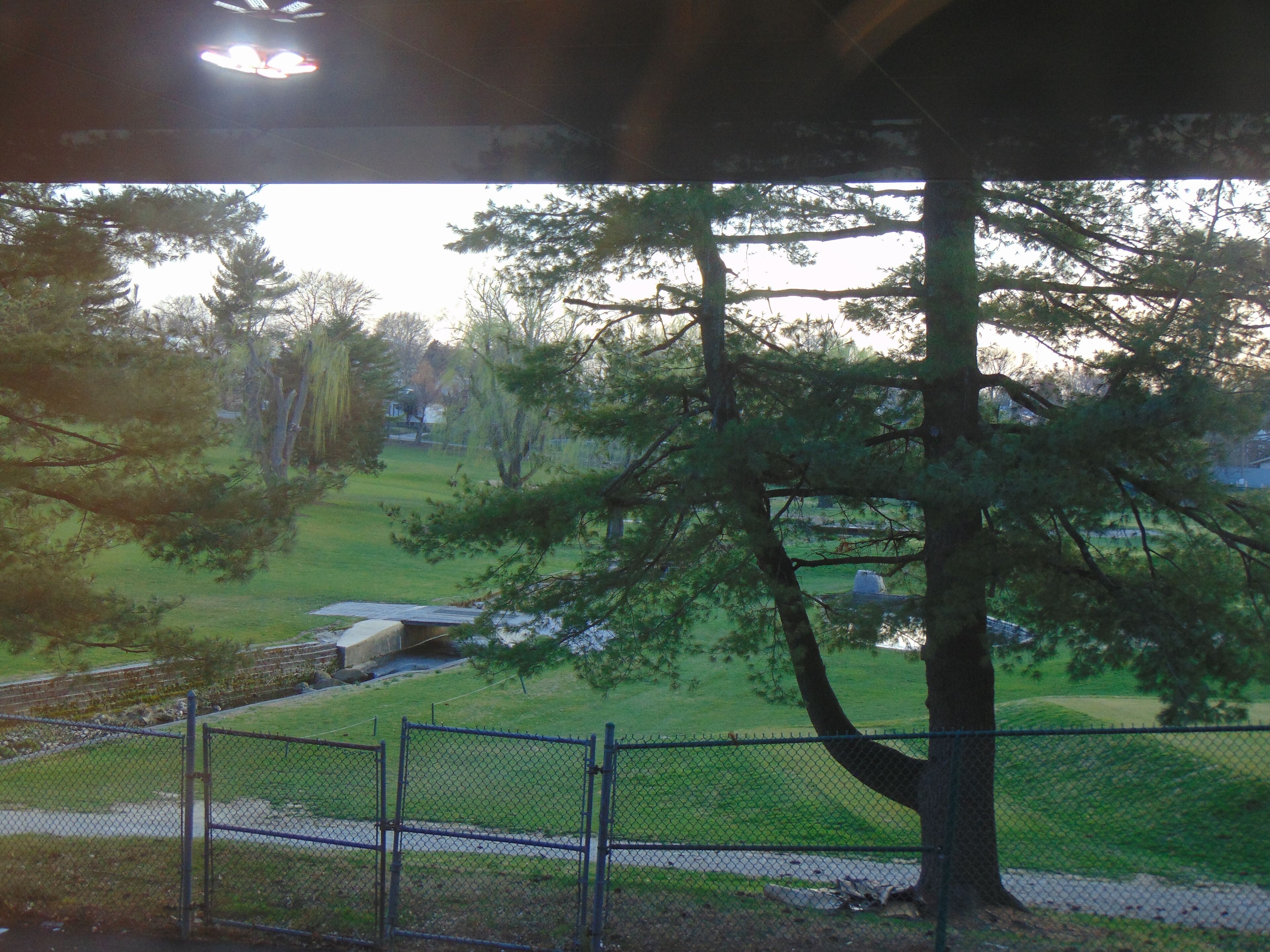 A fenced outdoor area with trees and a pathway.