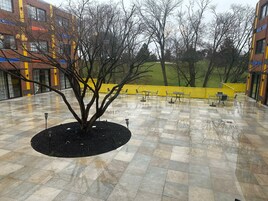 Un patio con un árbol central, suelo de baldosas y mobiliario para exteriores.