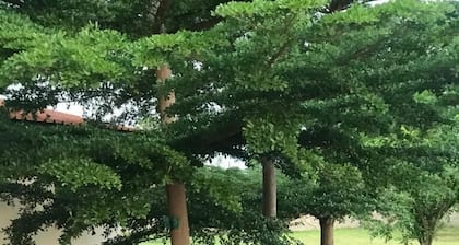 Kavango Dachils Lodges Ext2