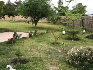 Um jardim com diversas plantas, um pequeno lago e um pássaro branco.