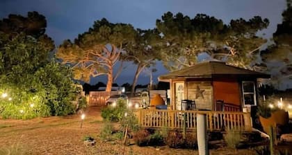 Stay on the farm - 1 bedroom cottage with deck outside of Davis