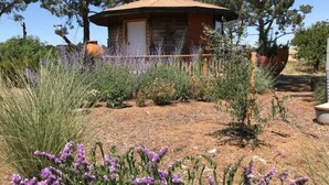 A rustic cabin with a sloped roof, surrounded by a variety of vegetation including tall grasses and purple flowers. - Stay on the farm - 1 bedroom cottage with deck outside of Davis (Davis)