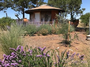 Property grounds - Stay on the farm - 1 bedroom cottage with deck outside of Davis (Davis)