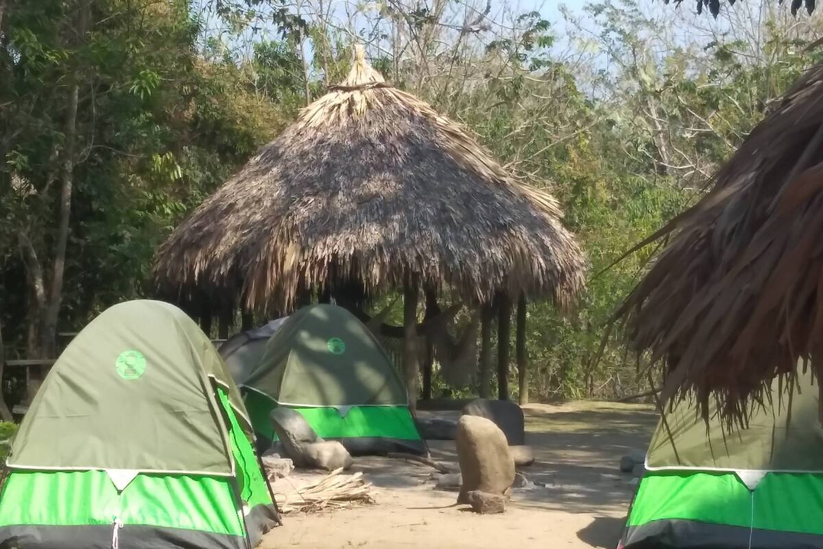 A campsite with green tents and a thatched-roof structure.