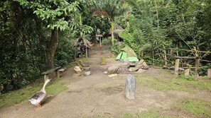 Exterior - La Cima Tayrona (Santa Marta)