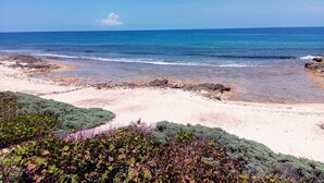 Een strand met heldere lucht, een rotsachtige kustlijn en groene begroeiing.