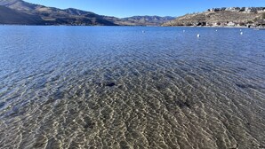 A clear lake with visible underwater patterns and a distant town on the shore. - Lakefront Studio Condo~Step into the Lake at Spader Bay (Chelan)