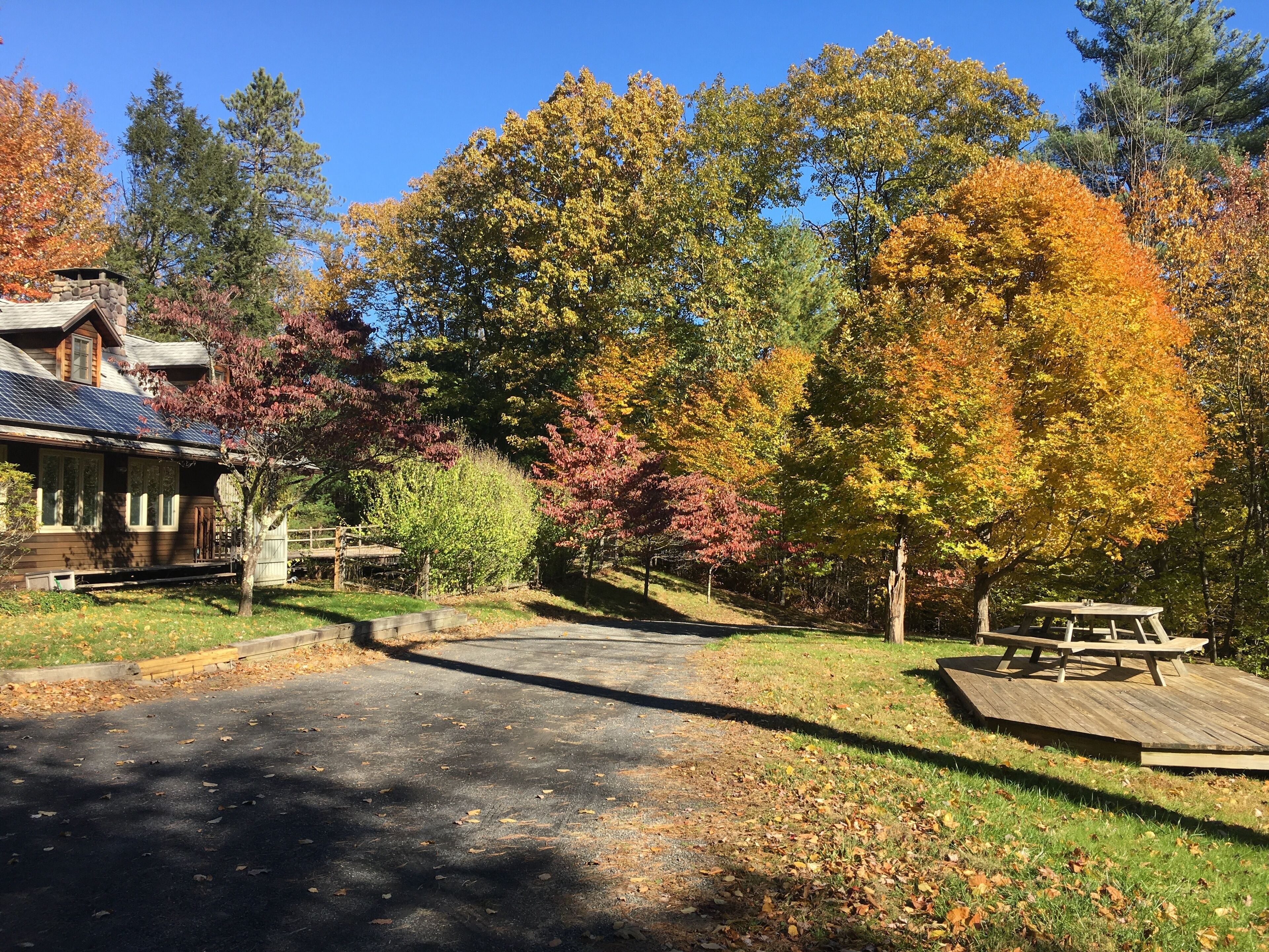 NEW LISTING Woodstock secluded mountain retreat with beautiful pool and sauna.