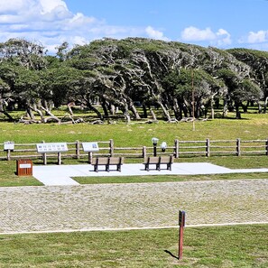 Sport court - ROCKPORT'S BEST VIEW AND LOCATION! - Summer's Little Bay Getaway - On the Water! (Rockport)