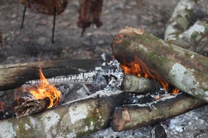 A close-up of burning logs with flames and ash.