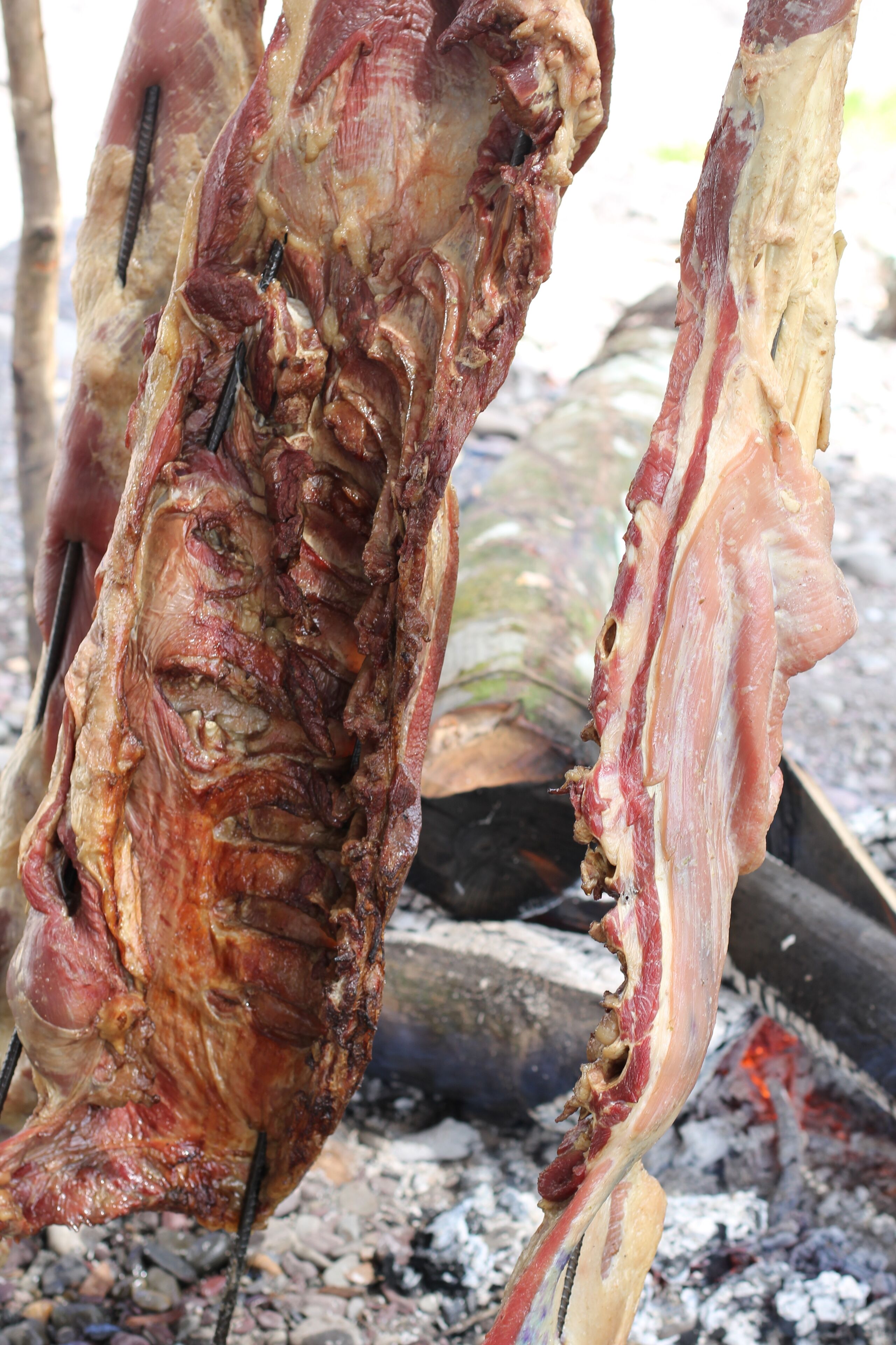 Photo - Hotel Campestre Mastranto