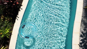 A rectangular swimming pool with clear blue water, surrounded by a tiled deck and plants.