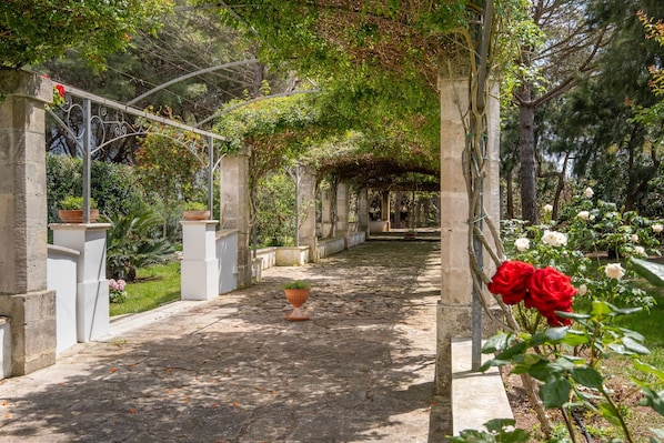 A garden pathway with a pergola, potted plants, and roses.
