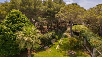 Parco della struttura