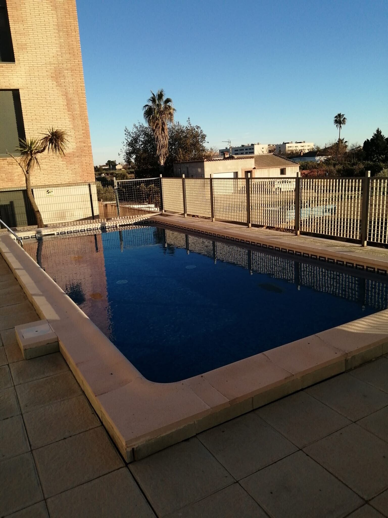 Una piscina rectangular con solárium empedrado, rodeada por una valla y palmeras.