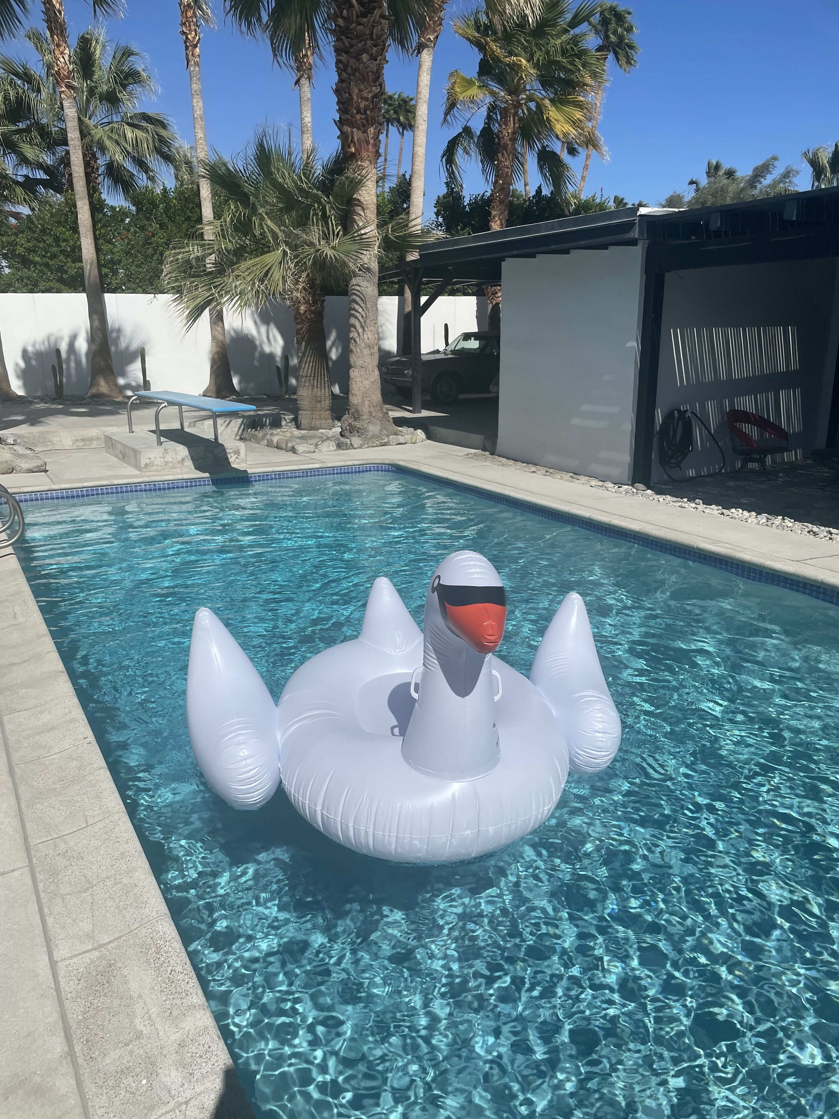Elenora's Casita is in central Palm Springs near downtown and the excitement!