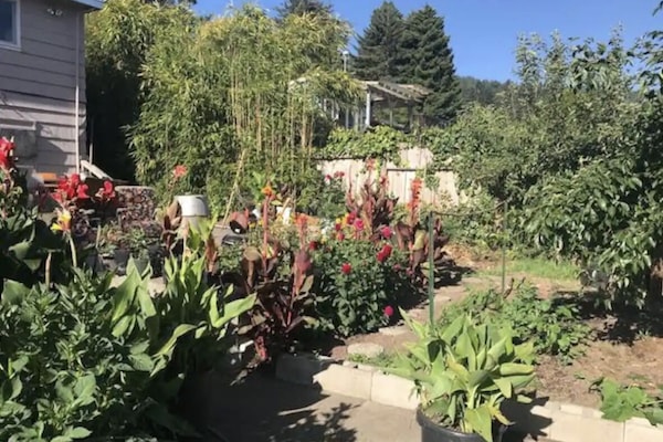 Overnatningsstedets område