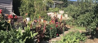 Sunnybrae Garden Studio