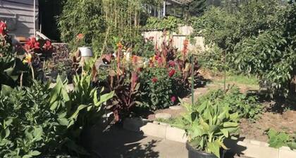 Sunnybrae Garden Studio