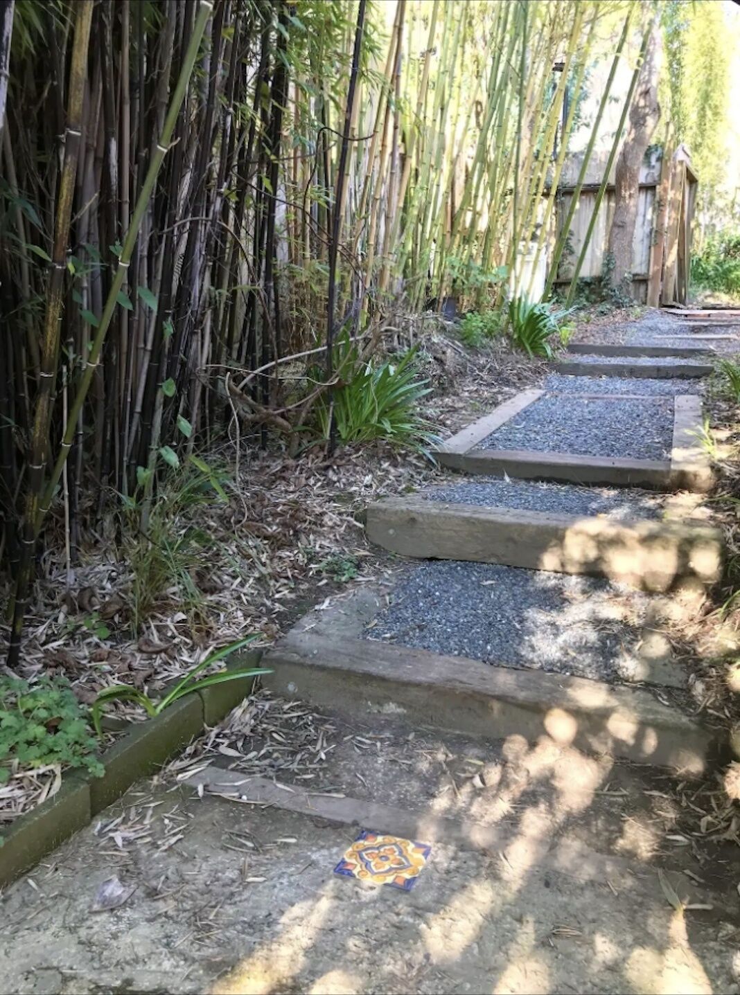 A pathway with steps leading through a bamboo grove.