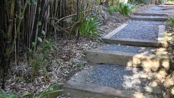 A pathway with steps leading through a bamboo grove.