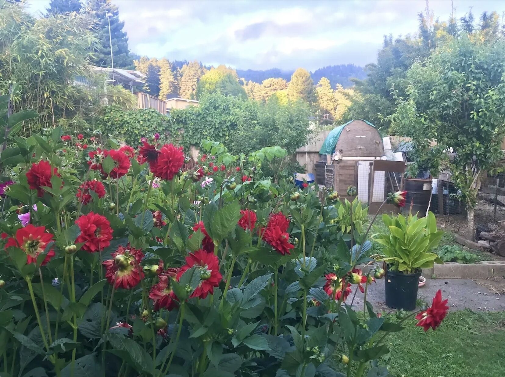 Terrein van de accommodatie