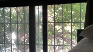 Unclassified image, 5 of 57, button - Naranjo Hostel (Cancun)