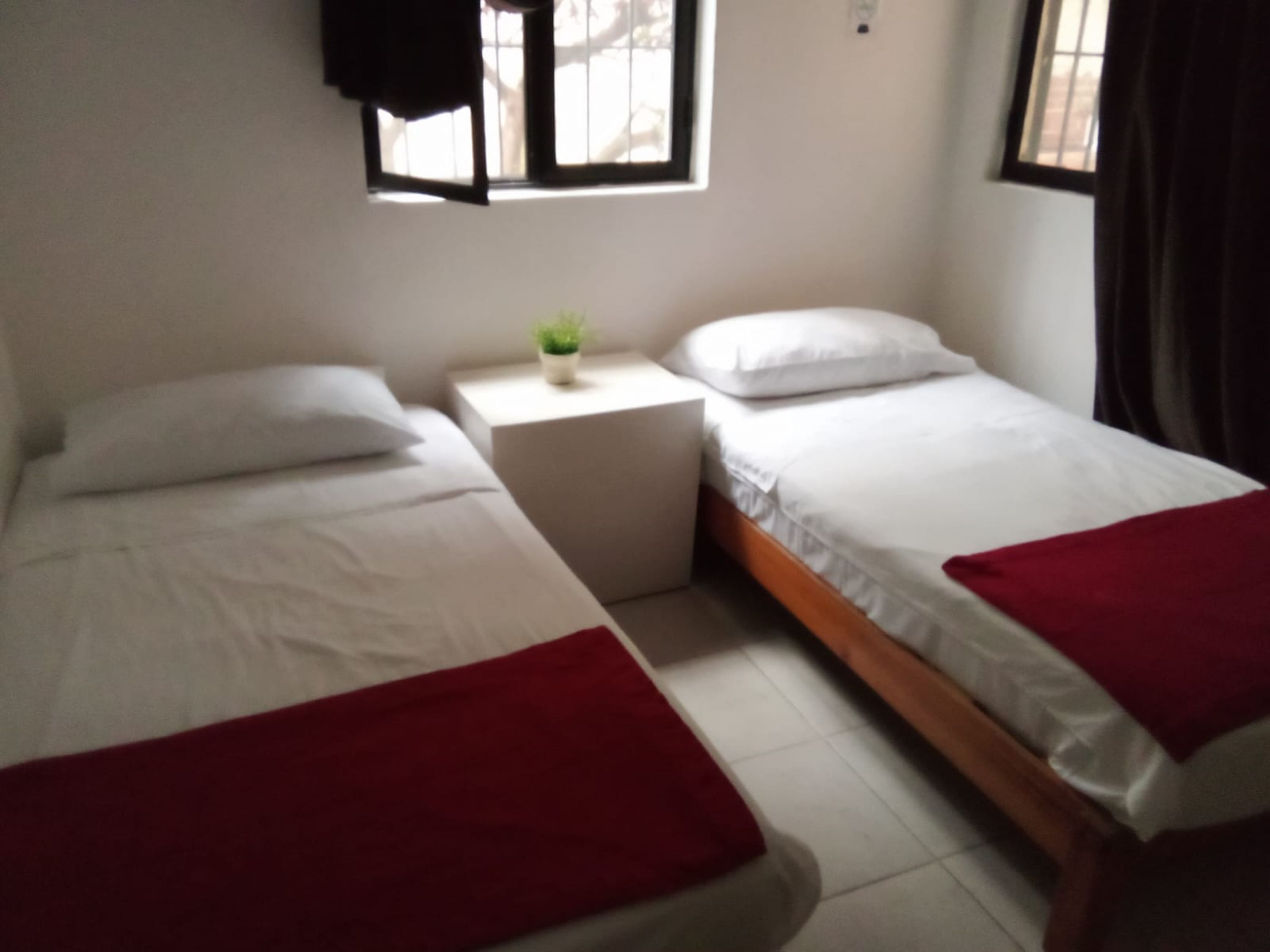 Foto - Naranjo Hostel