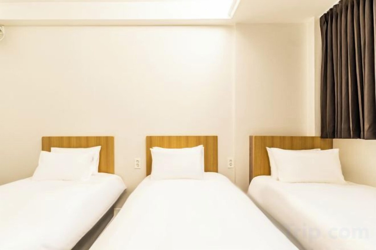 Soundproofing, WiFi (free)