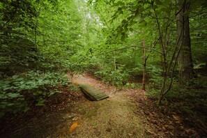 A forested path with a wooden bridge. - Arrowhead Lodge | Hocking Hills, Sauna & Hot Tub (Logan)