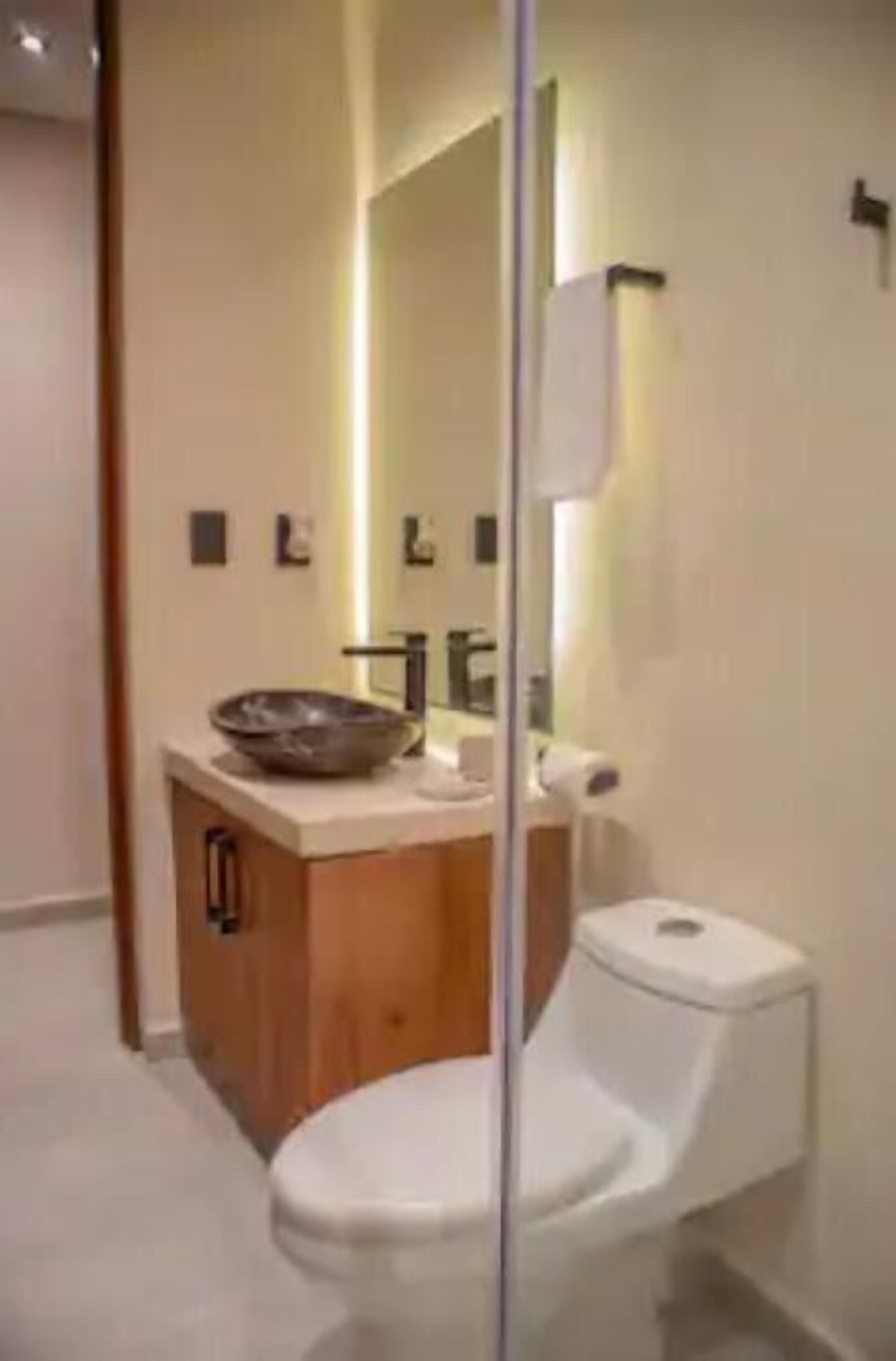 A modern bathroom with a white toilet, wooden cabinet, and a large mirror.