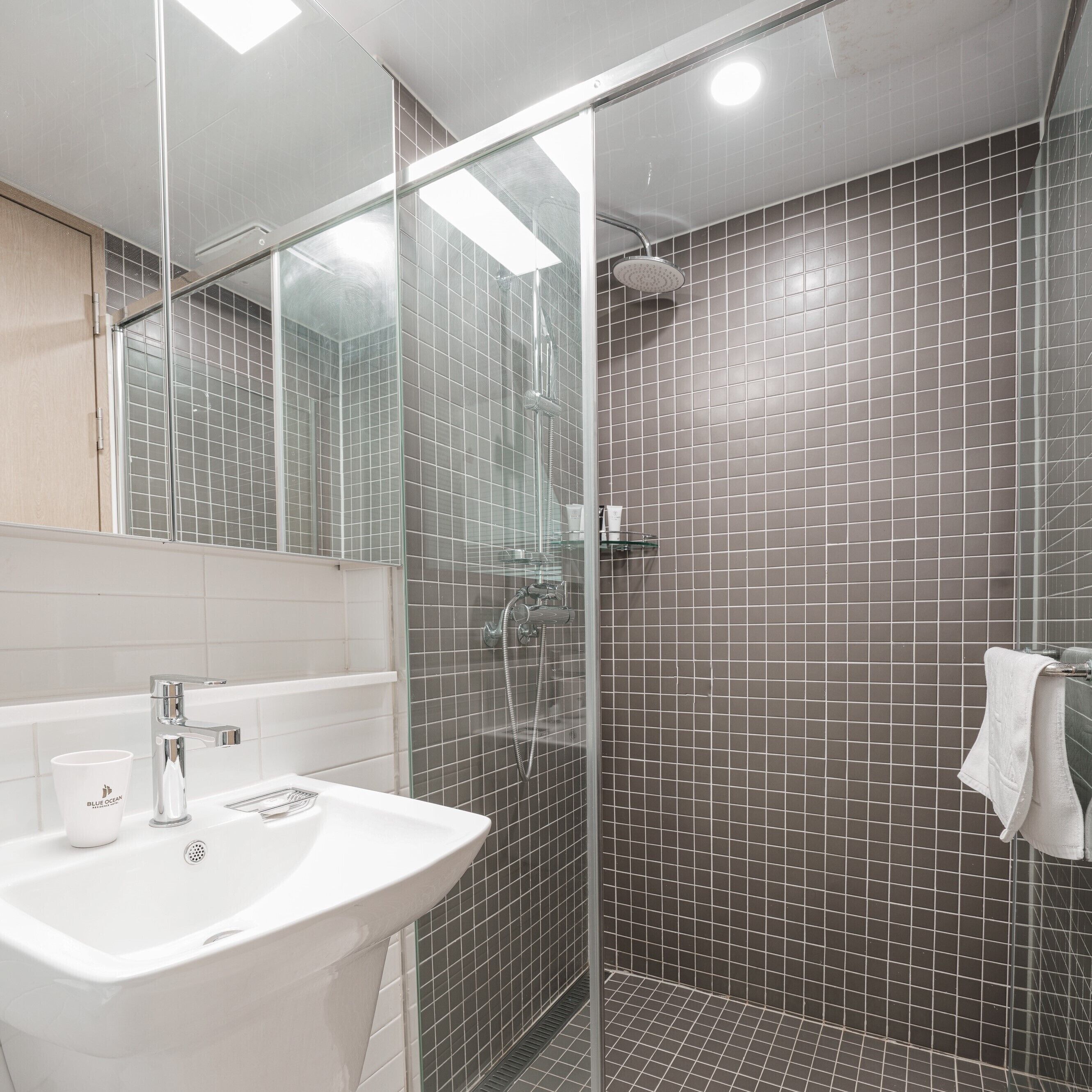 A modern bathroom with a glass shower enclosure, a white sink, and a mirror above it.