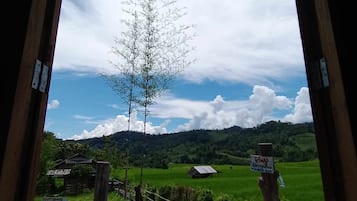 Basic Bungalow | Terrace/patio