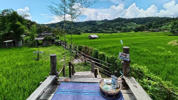 A rural landscape with a wooden bridge leading to a house, surrounded by lush green fields and a clear sky. - Chinopuu Hut Homestay  (Chiang Dao)