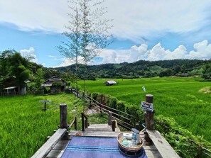 A rural landscape with a wooden bridge leading to a house, surrounded by lush green fields and a clear sky. - Chinopuu Hut Homestay Muangkong (Chiang Dao)