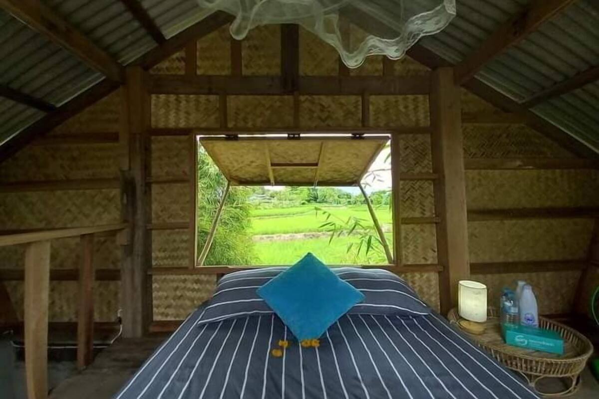 A room with a bed, a window with a view of a green landscape, and a mosquito net above the bed.